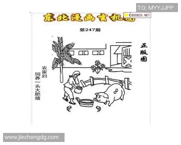 山东真人字谜第3d16139期解析与解答探秘,揭示谜底背后的故事与技巧 山东真人字谜第3d16139期解析与解答探秘,揭示谜底背后的故事与技巧