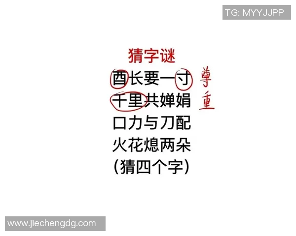 文庙真人解字谜全书探秘字谜文化的魅力与智慧 文庙真人解字谜全书探秘字谜文化的魅力与智慧