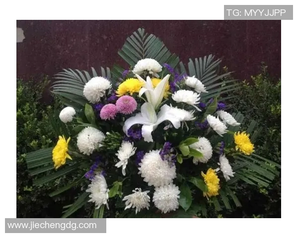 加蓬总统深表哀悼布彭扎离世向其家人致以诚挚慰问